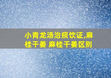 小青龙汤治痰饮证,麻桂干姜 麻桂干姜区别